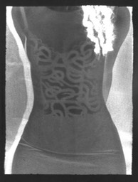 vic torso sola